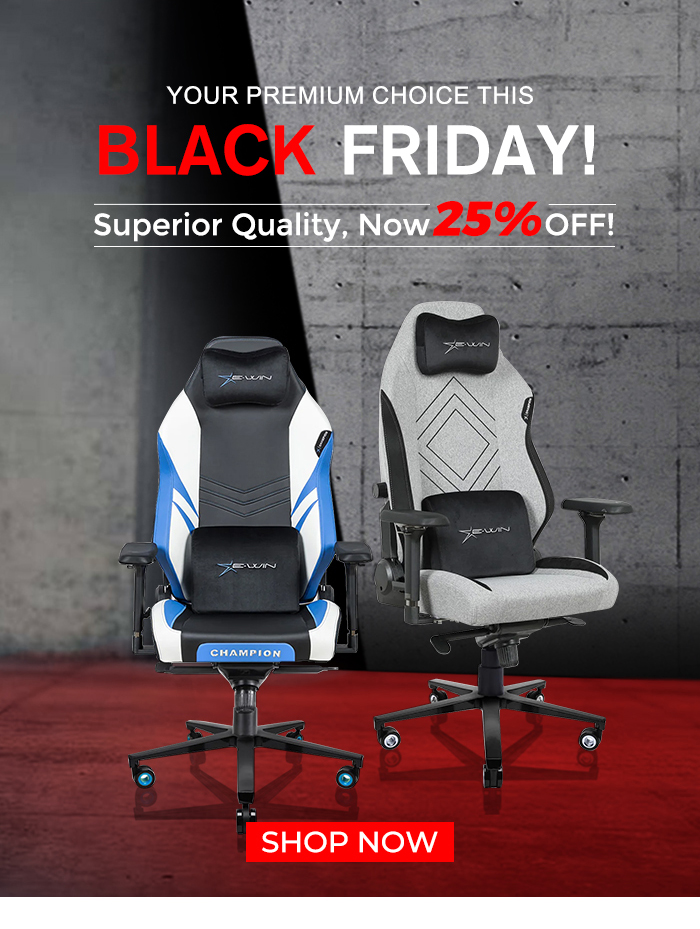 EwinRacing 2024 Black Friday Sale