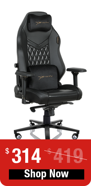 ewin chair