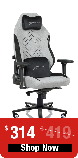 E-WIN Chair