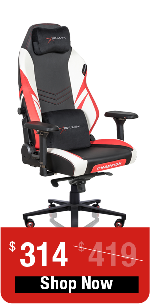 ewin chair