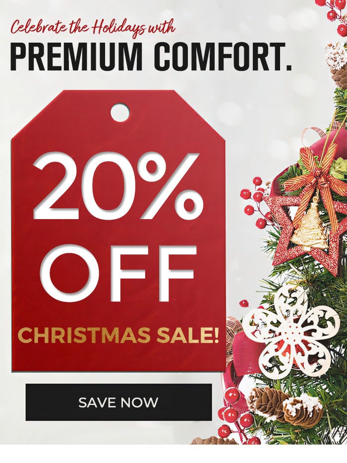 EwinRacing 2024 xmas Sale