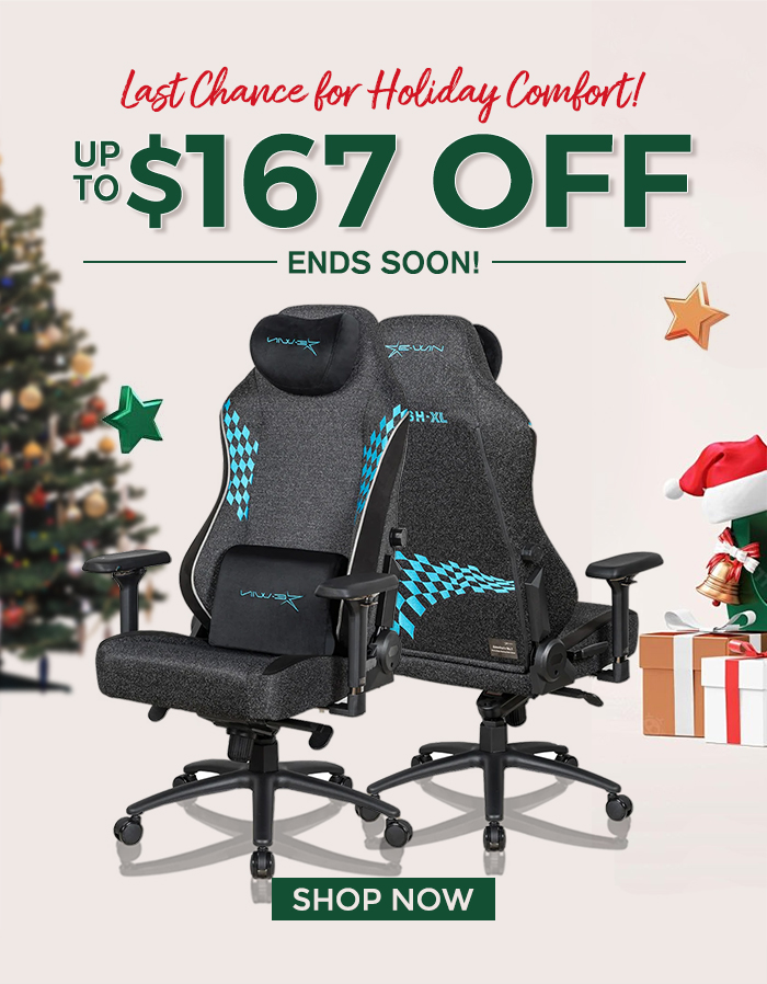 EwinRacing 2024 xmas Sale